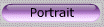 portrait.bmp (8478 octets)